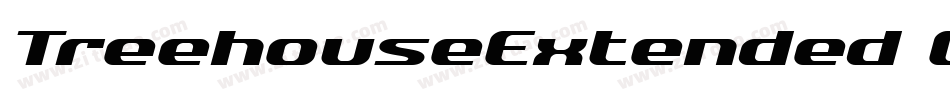TreehouseExtended Oblique字体转换